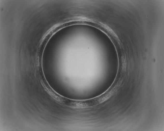 X0000086241318200703291345