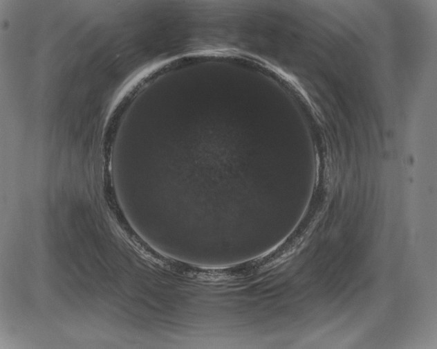 X0000086241319200703291345