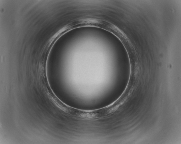 X0000086241321200703291345