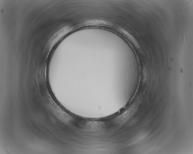 X0000086241322200703291345