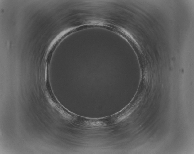 X0000086241323200703291345