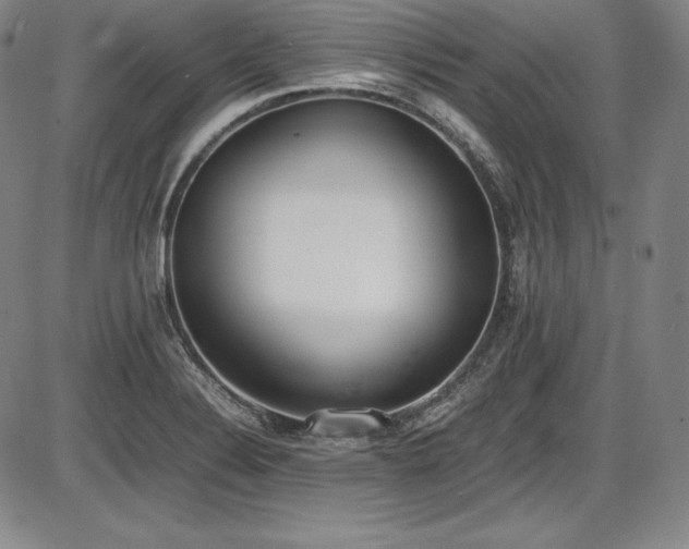 X0000086241324200703291345