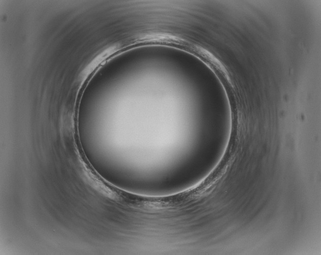 X0000086241330200703291345