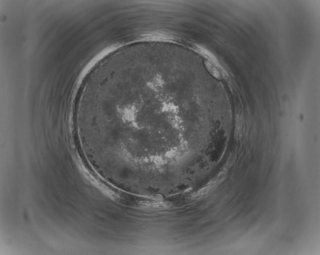 X0000086241331200703291345