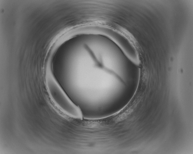X0000086241332200703291345
