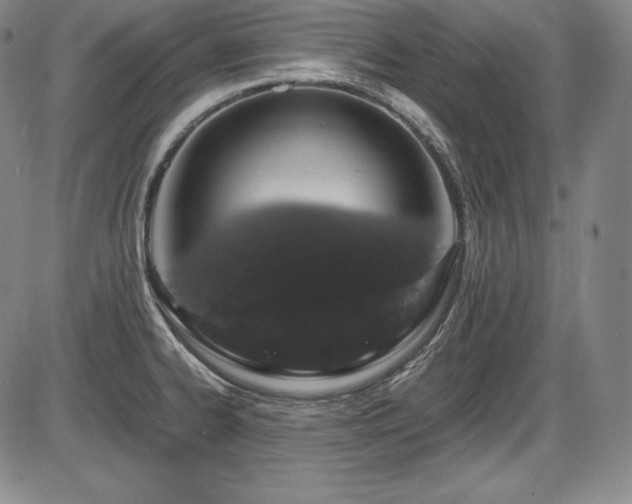 X0000086241334200703291345