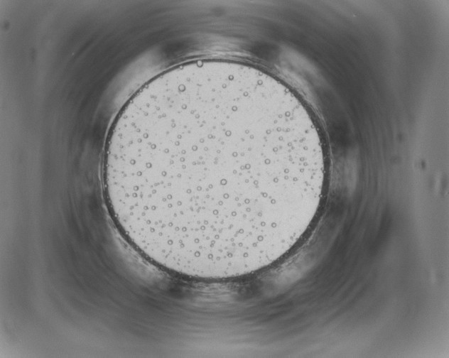 X0000086241338200703291345