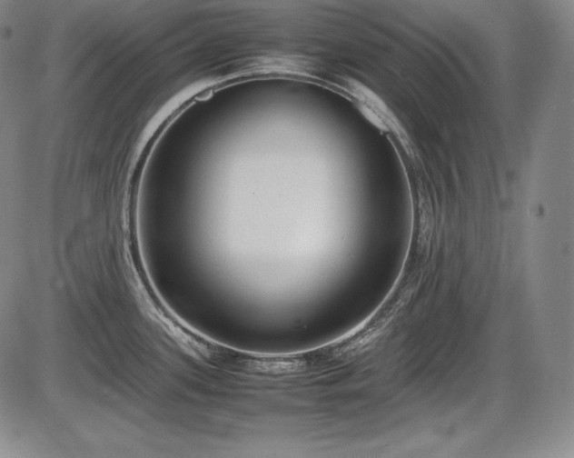 X0000086241339200703291345