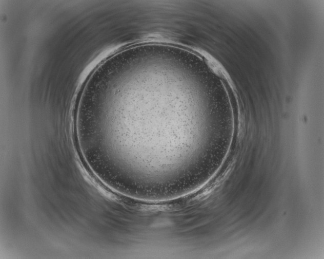 X0000086241341200703291345