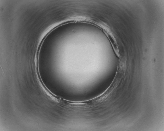 X0000086241343200703291345