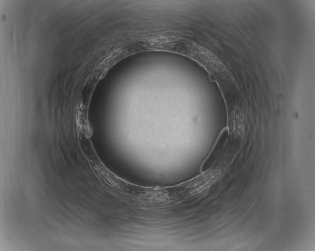X0000086241346200703291345