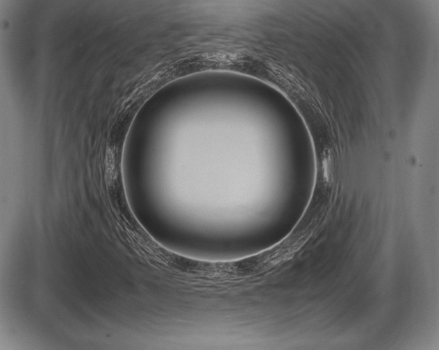 X0000086241347200703291345