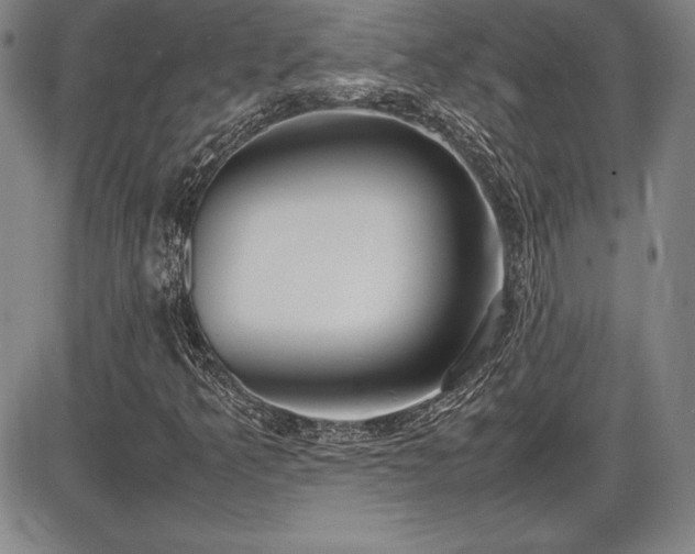 X0000086241349200703291345