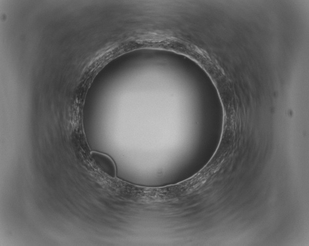 X0000086241350200703291345