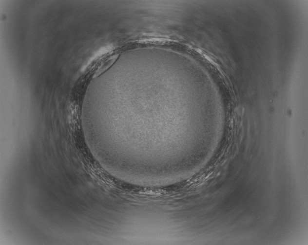 X0000086241351200703291344