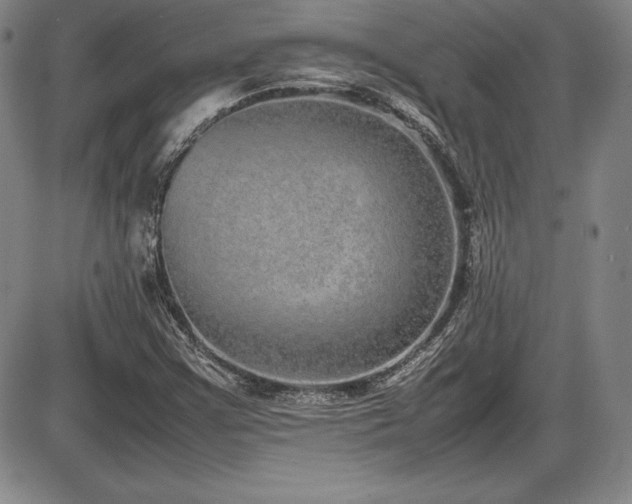 X0000086241355200703291344