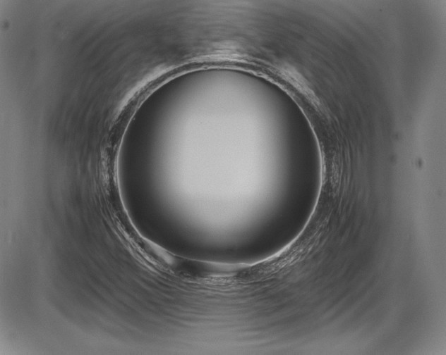 X0000086241356200703291344