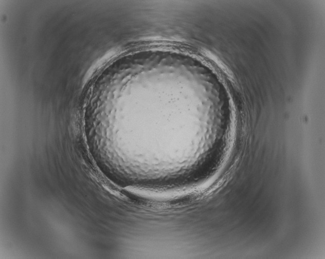 X0000086241357200703291344