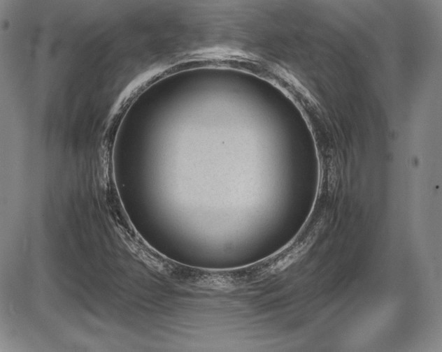 X0000086241358200703291344