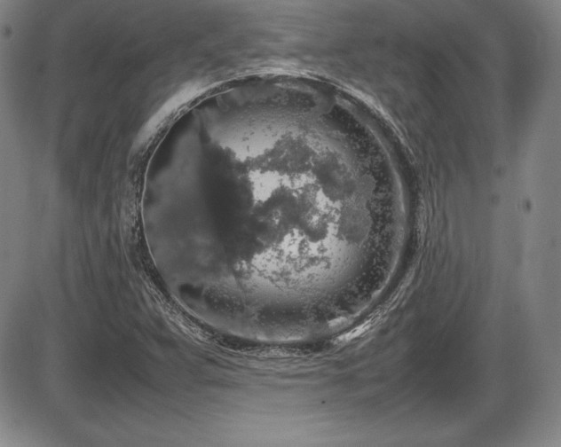 X0000086241359200703291344