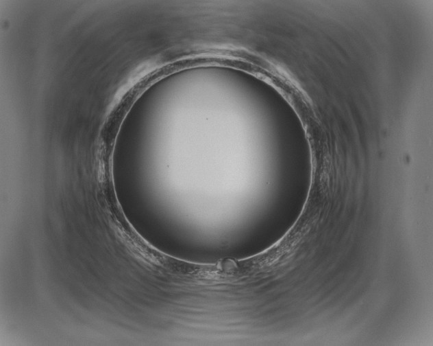 X0000086241360200703291344