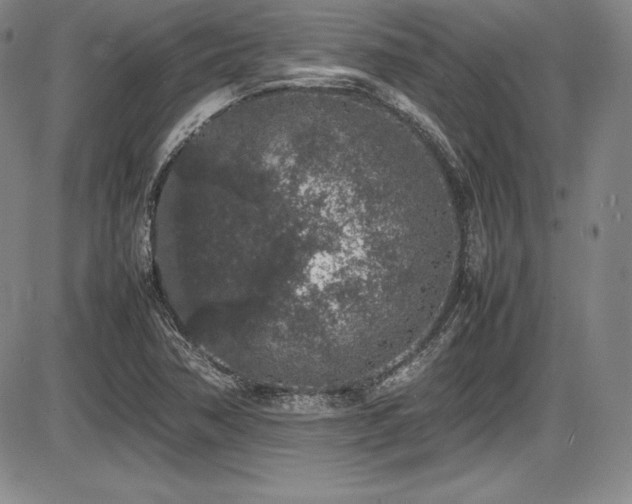 X0000086241362200703291344