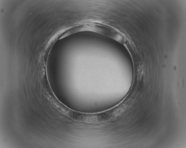 X0000086241363200703291344