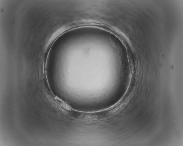 X0000086241365200703291344