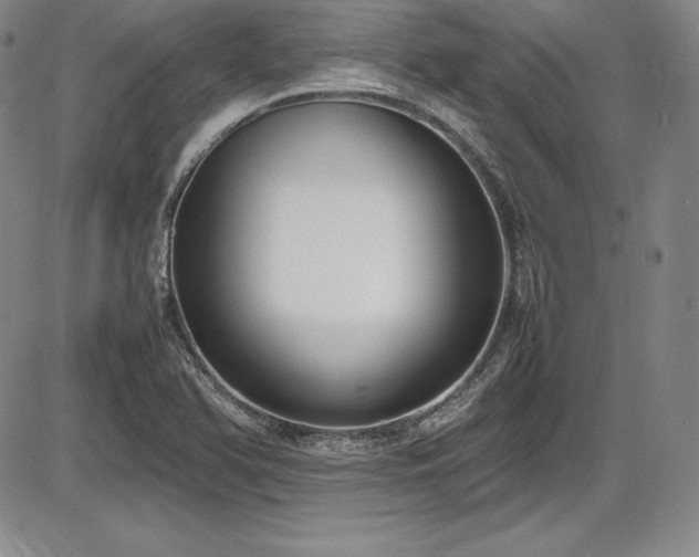 X0000086241366200703291344