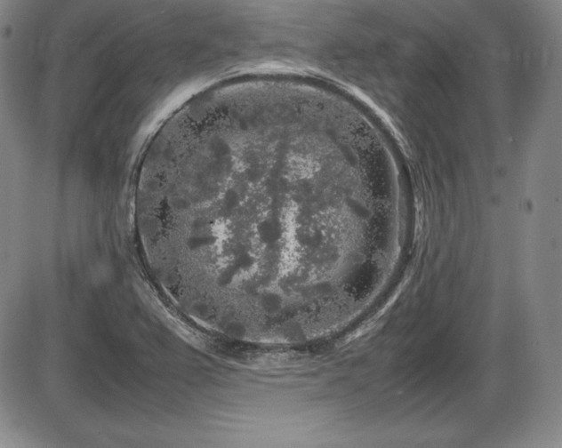X0000086241367200703291344