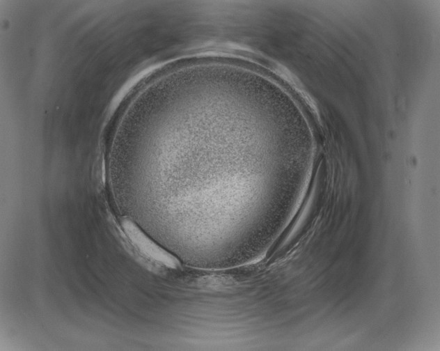 X0000086241368200703291344