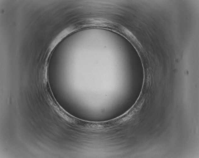 X0000086241370200703291344