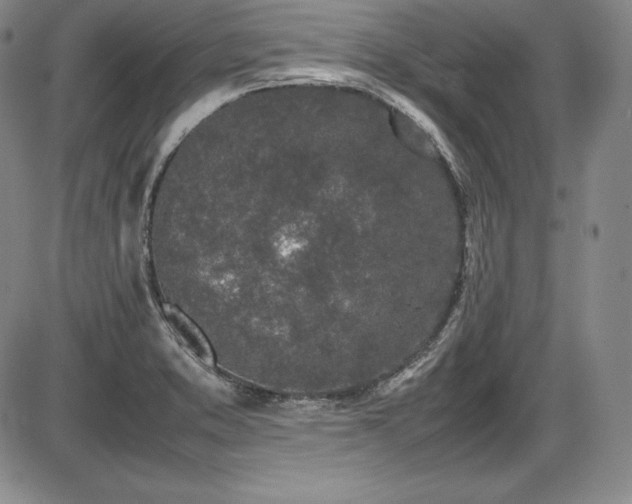 X0000086241373200703291344