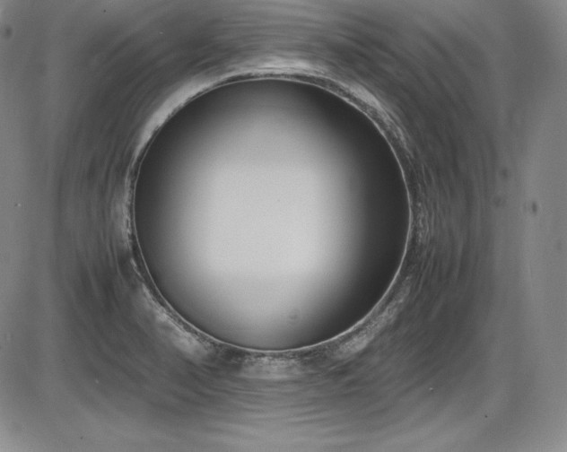 X0000086241374200703291344