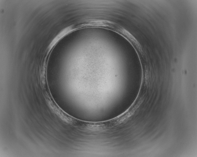 X0000086241378200703291344
