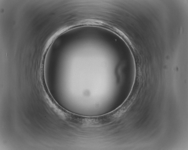 X0000086241379200703291344