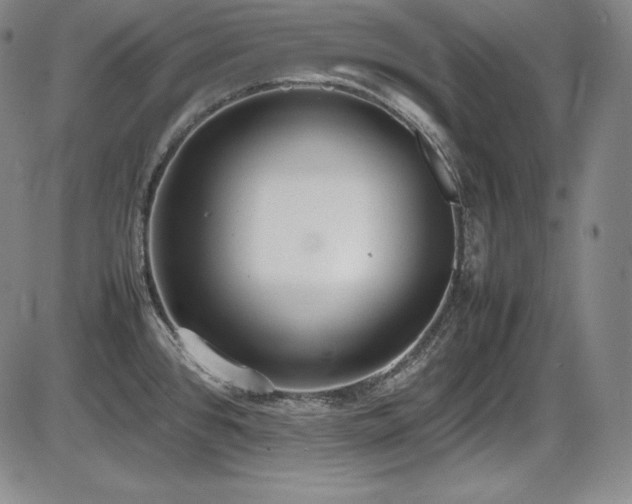 X0000086241384200703291344