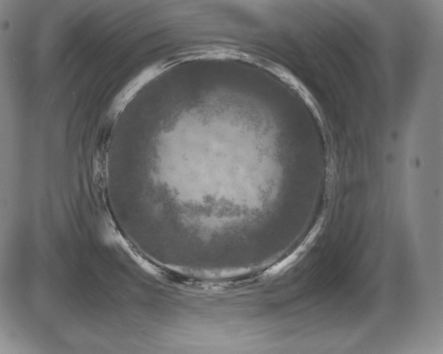X0000086241385200703291344