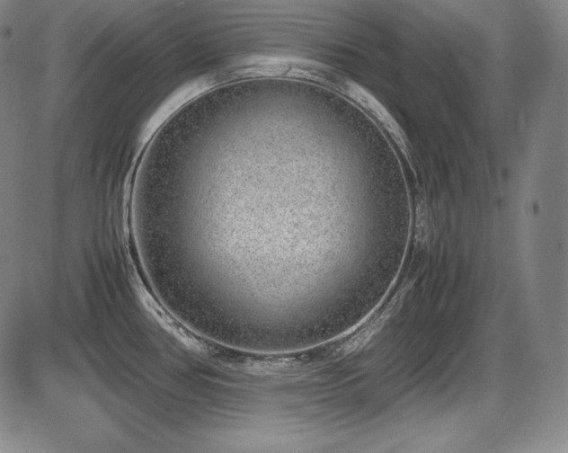 X0000086241386200703291344