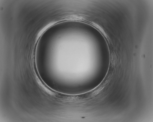 X0000086241387200703291344