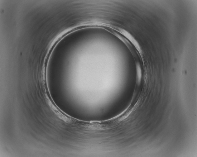 X0000086241388200703291344