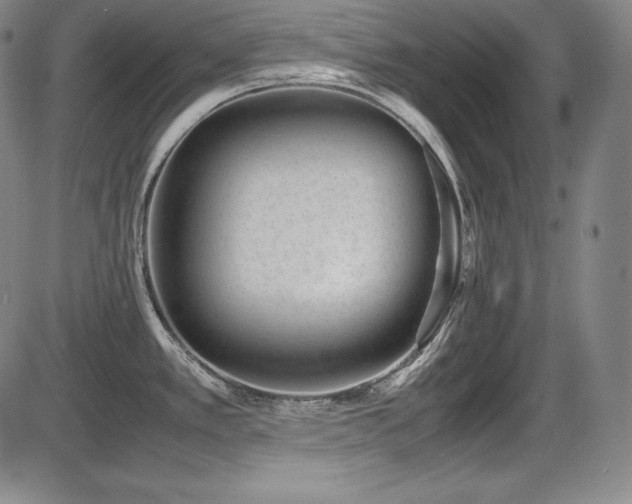 X0000086241389200703291344