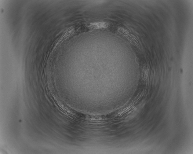 X0000086241393200703291343