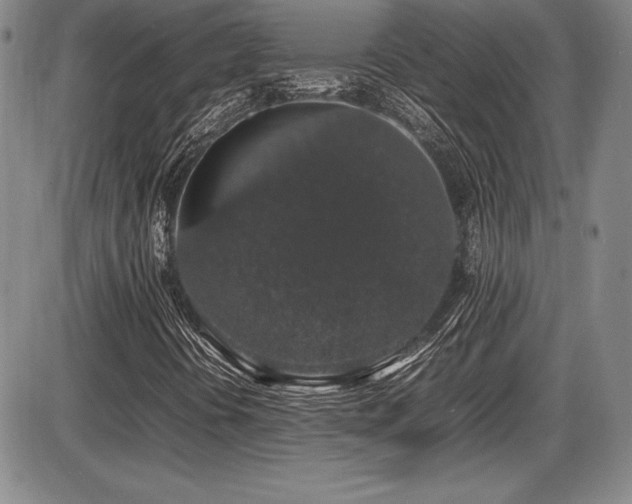 X0000086241394200703291343