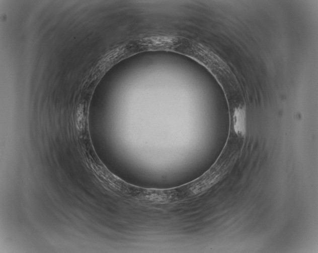 X0000086241395200703291343