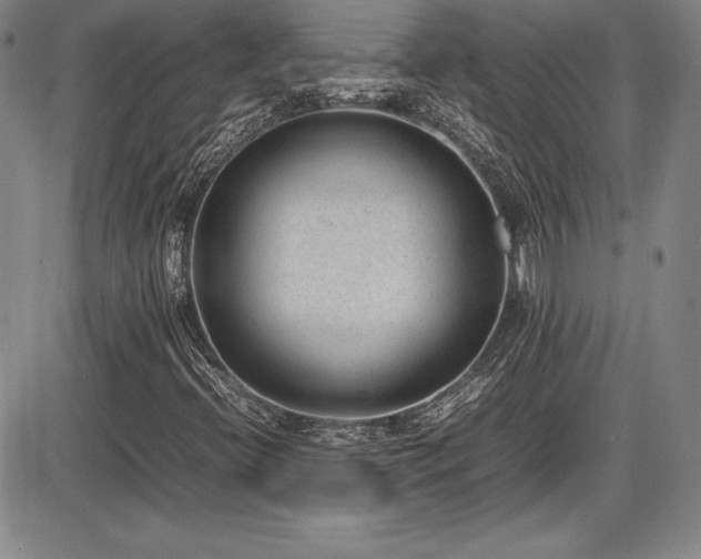 X0000086241396200703291343