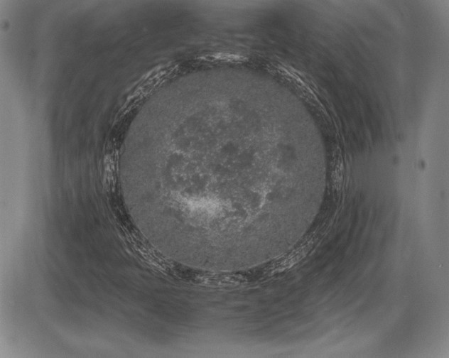 X0000086241397200703291343