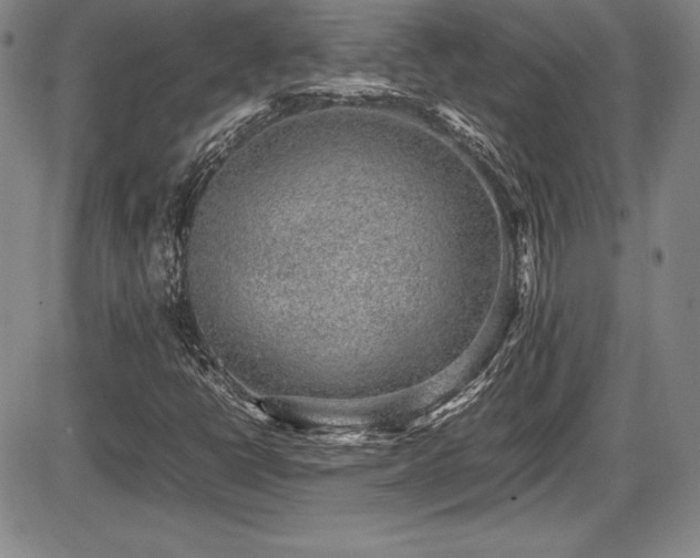X0000086241398200703291343