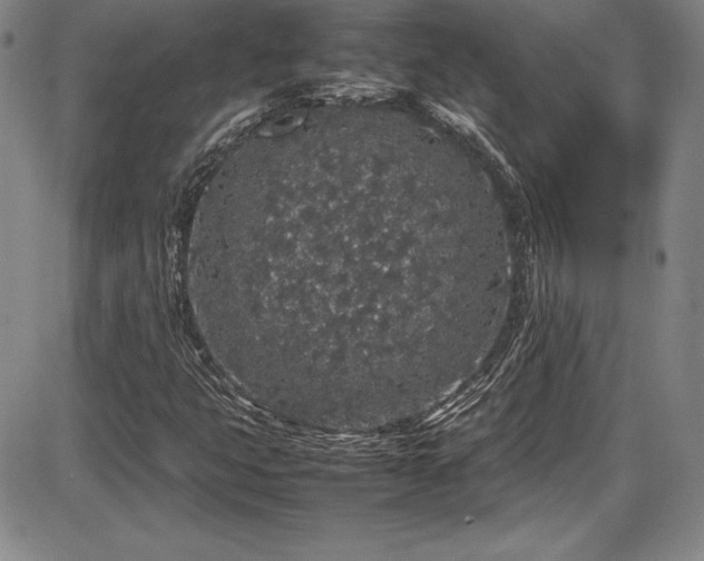 X0000086241399200703291343