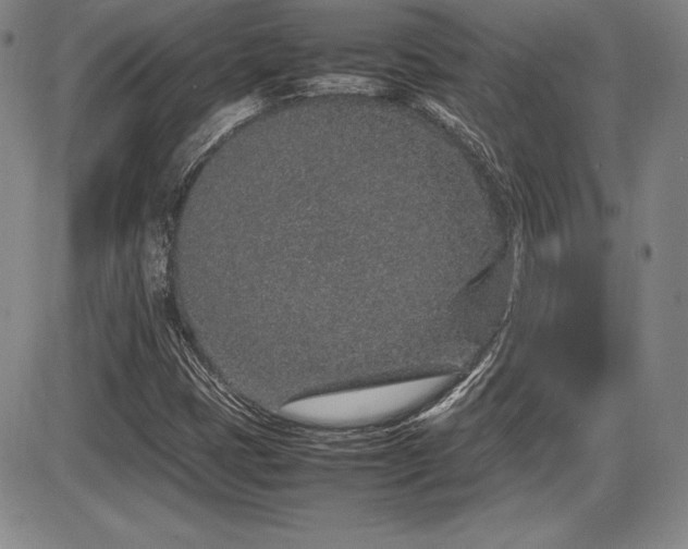 X0000086241401200703291343